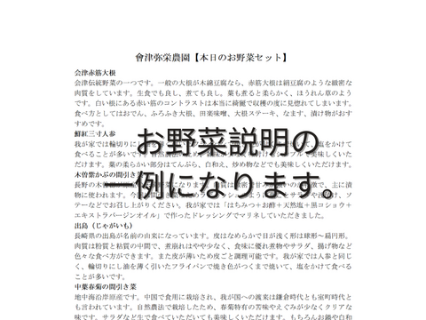 【自然栽培】4品目お試し旬のお野菜セット