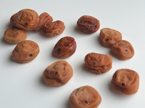 【訳あり（雹被害）】自然栽培 紀州南高梅｜ひとみずの梅干し 500g｜無添加・無肥料・農薬不使用｜見た目にキズあり／味・品質そのまま｜ご家庭用