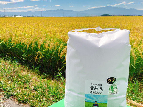 予約開始！！　令和7年新米　新商品！大きい粒でとっても美味しい　雪若丸　玄米10キロ（10キロ1袋）