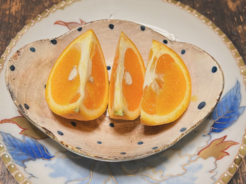 【農薬不使用】フレッシュな味わい！バレンシアオレンジ1kg
