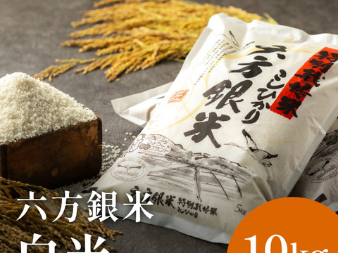 コウノトリ舞いおりるコシヒカリ 特別栽培米 六方銀米 白米 10ｋｇ（5ｋｇ×2）