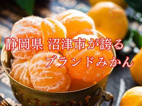 みかん 【西浦みかん 約9キロ箱込】訳ありみかん 寿太郎みかん わけあり 西浦みかん 静岡産 【3月上旬までの季節限定品！】