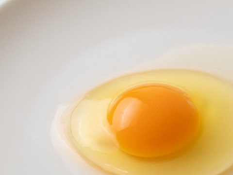 味と鮮度のこだわり卵！宮たま(赤)×40個