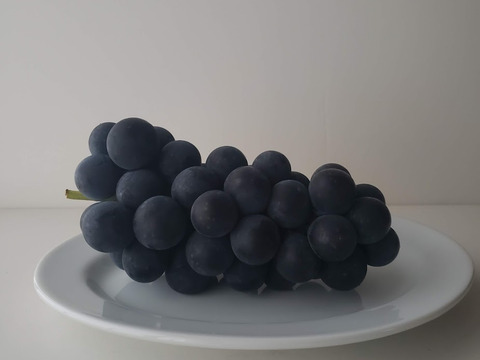 福袋】【冬ギフト】！数量限定特別価格！ぶどうのジュース720ml×2本