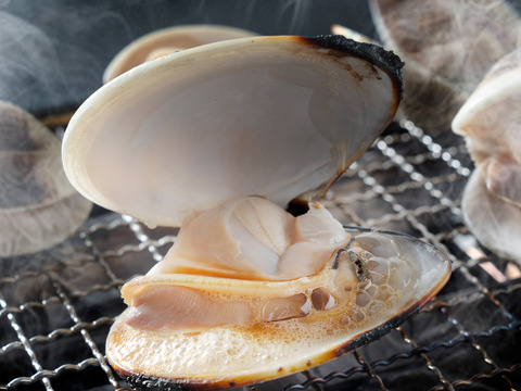 ワイワイみんなで酒蒸し＆BBQにどーぞ♪九十九里産　活けはまぐり３kg(35～55個位)