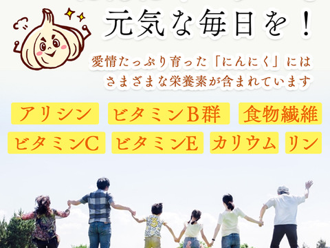 B級品『農薬・化学肥料・除草剤・防虫剤等不使用』 福地ホワイト六片 にんにくバラ  500g★