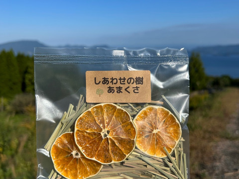 【福袋】6種詰め合わせセット（甘夏ジュース・レモングラスティー2袋・河内晩柑3個・スイートスプリング3個・紅河内晩柑3個）