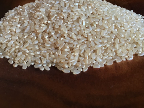 土佐の棚田米　(4.5kg) 
令和6年産玄米