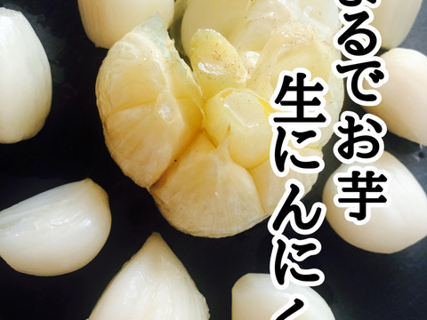 【食べなきゃ損！特典付き】幻の生にんにく300ｇ（３玉～）🌟生産量日本一🌟青森十和田市産【高級品種白玉王】