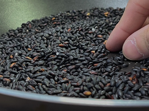 黒米（古代米） 200g　農薬・化学肥料不使用のスーパーフード