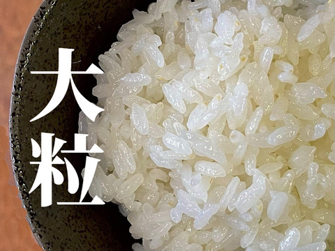 大粒で冷めても美味しい！ 特別栽培米ひゃくまん穀（白米）2kg 　令和5年石川県産