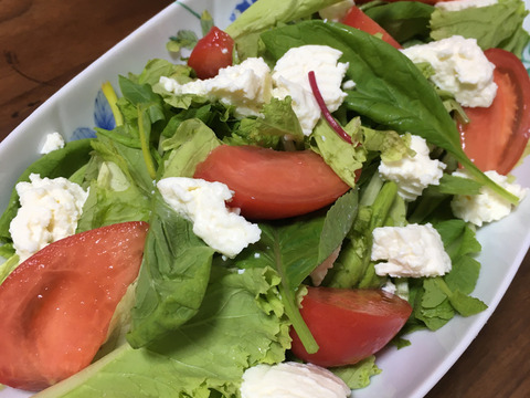 【順次発送:3kg】樹上完熟！美味しい桃太郎トマト大きさ色々