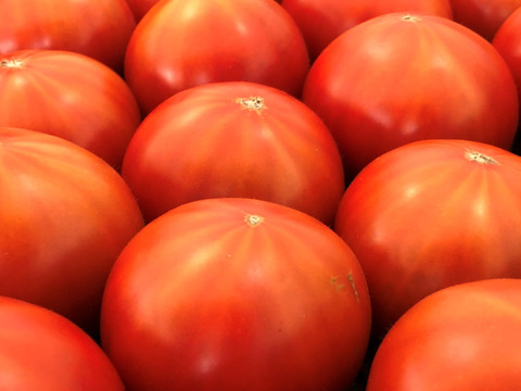 ～春夏秋冬～夏のトマトを楽しみましょう！ぜいたくトマト《夏秋の陣》