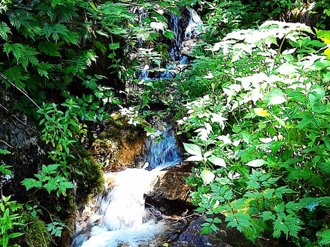 【限定3組】飛騨の生命力の結晶。2190日の沈黙と、日本一の栄養価を贈る「極・コンプリートBOX」