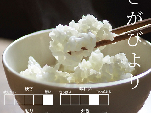 R3年産米【お試し‼】もっちりつやつや特別栽培米【農薬不使用】さがびより２合