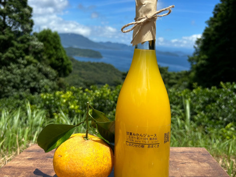 【福袋】6種詰め合わせセット（甘夏ジュース・レモングラスティー2袋・河内晩柑3個・スイートスプリング3個・紅河内晩柑3個）