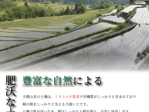 令和7年度米】新米【予約販売11月上旬より精米後順次発送】 米