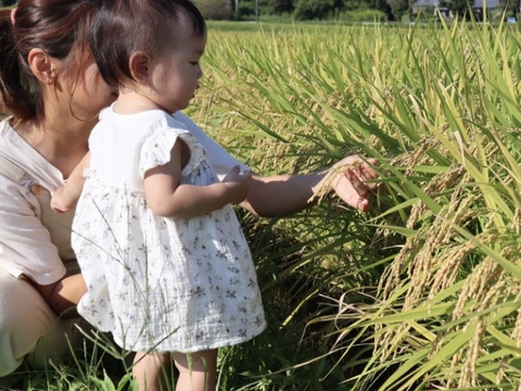 《R7新米予約》ヒノヒカリ無洗米5kg