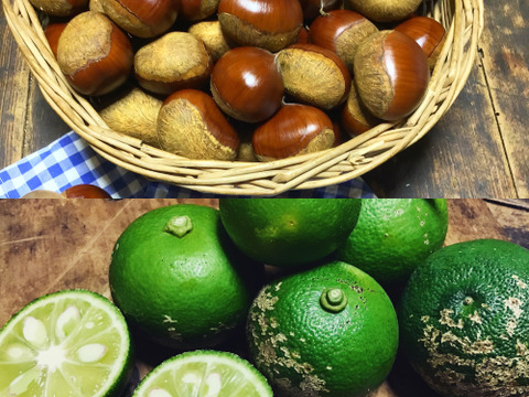 【農薬不使用】スダチ500g&栗1kgセット