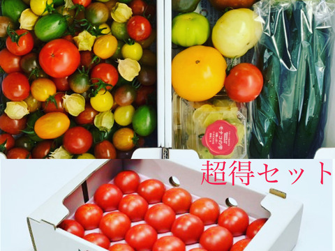 黒木園芸の全トマトを制覇🍅超得セット♪