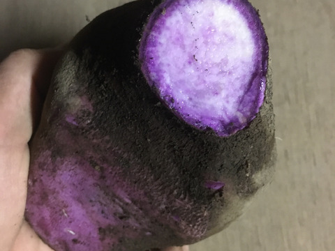 紫山芋3kg