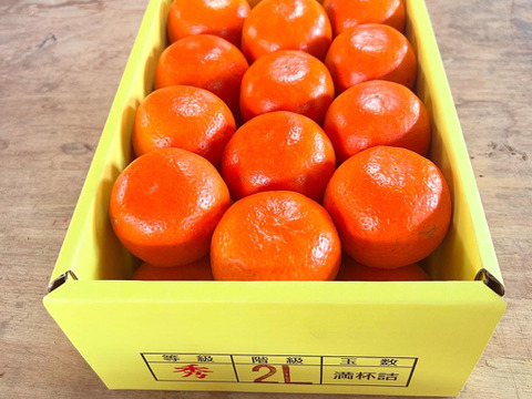 完熟タンカン（贈答用5kg）