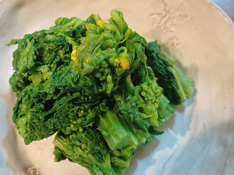 【早春の野菜】食用の菜花300g
鮮やかな緑黄色が彩りを添えます【農薬不使用】