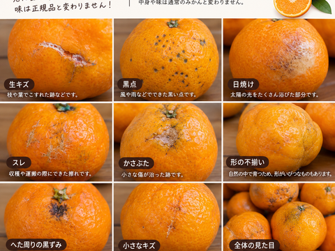 【訳あり】ご家庭用極甘小玉みかん3kg