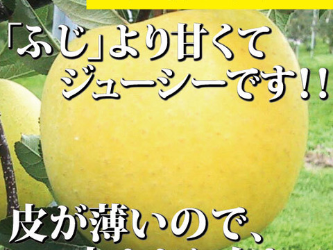 【一度は食べて頂きたい！】約３キロ 和梨みたいな青森県産りんご「樹上完熟葉とらず星の金貨」