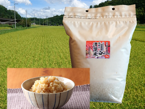 【玄米ご飯に最適】特Aあきさかり玄米 4kg(2kg×2袋) 広島県神石高原町 令和2年産 1等米100%