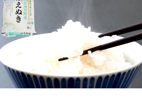 【山形県産 美味しい「はえぬき」５ｋｇ 2022年新米】精米 無洗米 A米 1等米 際立つ美味しさ 定番の美味しさは根強い人気です♪♪