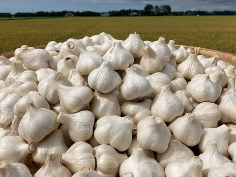 【バラにんにく 小さめ ホワイト 400g】北海道産  福地ホワイト六片種 農薬不使用自家栽培にんにく
