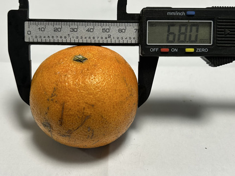 完熟タンカン　ご家庭用（5kg）