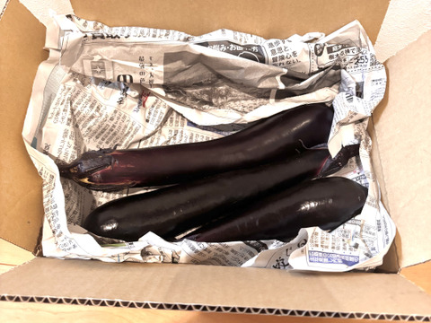 【広島伝統野菜入り】白ナス・青ナス・長ナス 3種食べ比べセット（1.5kg以上）