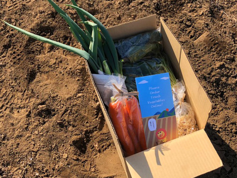 2〜4名様向け野菜セット／野菜6種＋加工品