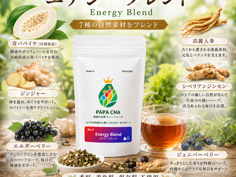 青パパイヤ茶 エナジーブレンド パパイア王子 国産 ノンカフェイン ティーバッグ 酵素 パパイン酵素 ジンジャー 高麗人参 宮崎県産 農薬不使用 無添加 ハーブティー 健康茶 活力 ティーバッグ31個