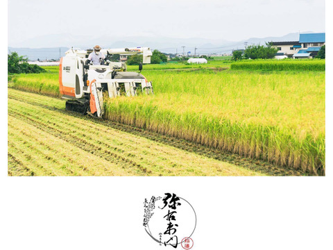 【完売御礼　新米は10/10頃予定】雪蔵銀ぴか米ミルキークイーン（15kg）