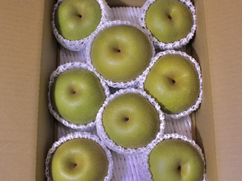 【長野県産】幸水梨《家庭用3kg》