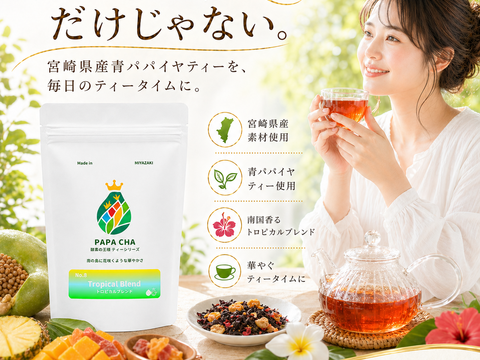 フルーツティー トロピカル 青パパイヤ茶 パパイア王子 国産 ノンカフェイン ティーバッグ ドライフルーツ 酵素 宮崎県産 農薬不使用 無添加 フレーバーティー (ティーバッグ7個)