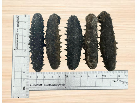 乾燥ナマコ 2L 200g：徳島県産のその他水産物｜食べチョク｜産地直送