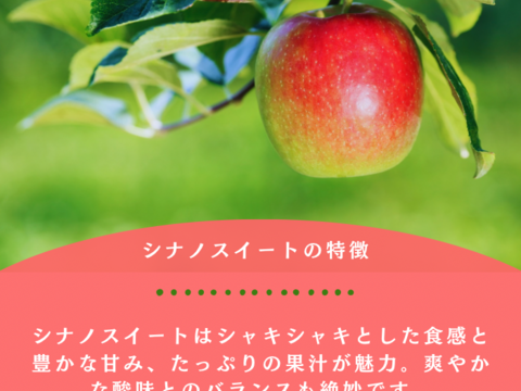 【まるで採れたて】シナノスイート 訳あり 10kg りんご 甘い  ご家庭用  果物 フルーツ お中元 ギフト リンゴ アップル   おやつ 子供のおやつ 貯蔵りんご 父の日 まるで採れたて