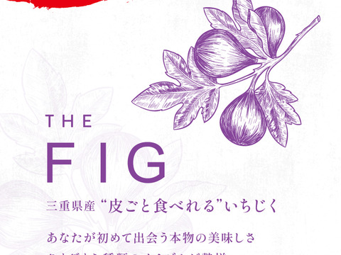 The Fig 皮ごと食べられるいちじく 三重県産のいちじく 食べチョク 産地直送 産直 お取り寄せ通販 農家 漁師から旬の食材を直送