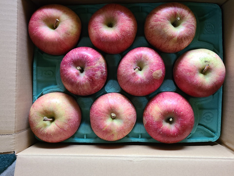 令和7年度産早期予約セール7%OFF大玉から順に発送‼️🍎青森県産