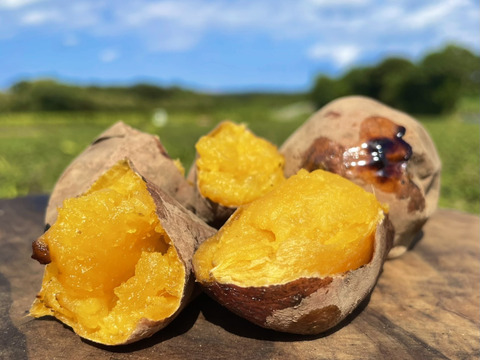 【期間限定】種子島産 新じゃが(M・L・2L)＆熟成安納芋B品(M〜Lサイズ)｜合計 3kg 旬の味わいセット🍠🥔