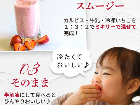 【冷凍いちご】あまおう いちご たっぷり5㎏