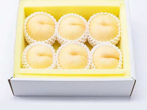 【2025年・岡山の白桃・恵白】ご自宅用★希少晩成品種！岡山の白桃・恵白(2㎏)