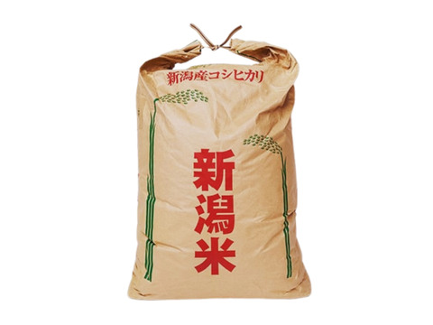 新米コシヒカリ 農家直送 米 新米 新潟県産 ＊数量限定＊ 玄米 中米 新潟産コシヒカリ 玄米】新米 農家直送 令和6年産 5kg | お米