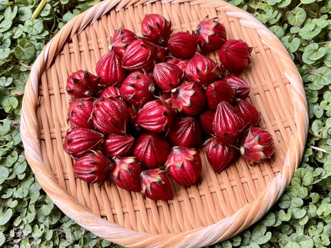 ローゼルの実 200g