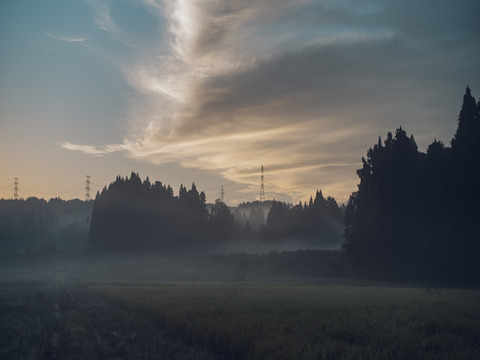 黒米（古代米） 1kg　農薬・化学肥料不使用のスーパーフード