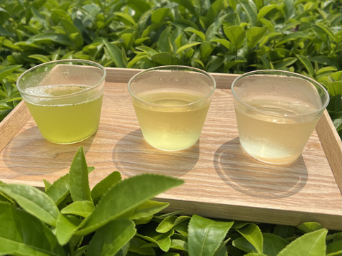 【2026年新茶飲み比べ】深蒸しかぶせ茶80g・特上煎茶100g・特上玄米茶150g　農薬・化学肥料・除草剤・畜産堆肥不使用　宇治茶100%　2026年産